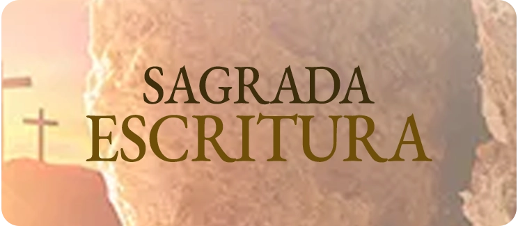 Banner CATEGORIA - SAGRADA ESCRITURA