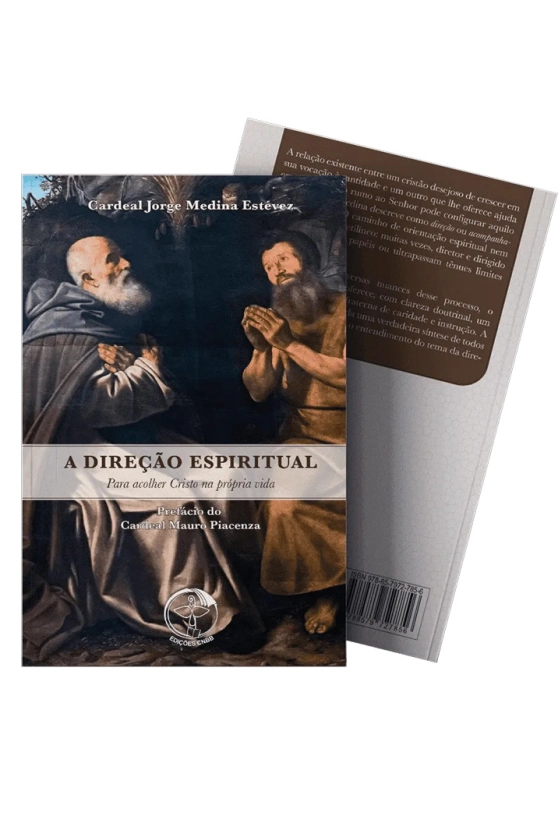Produto A DIRE&Ccedil;&Atilde;O ESPIRITUAL: Para acolher Cristo na pr&oacute;pria vida