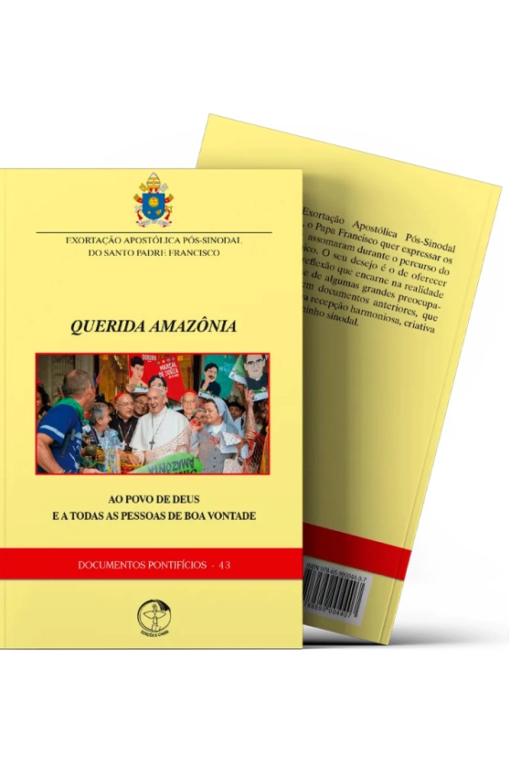Produto Ao povo de Deus e a todas as pessoas de boa vontade - Querida Amazônia - Documentos Pontifícios 43