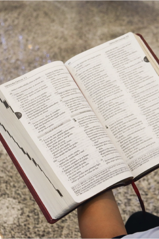 Produto B&iacute;blia Luxo Vinho - Letra grande 6&ordf; Edi&ccedil;&atilde;o