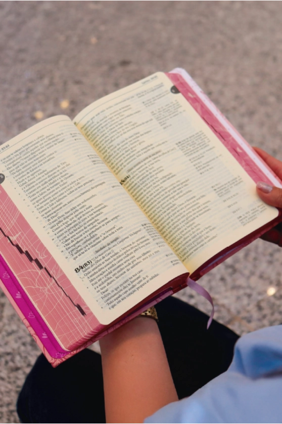 Bíblia Sagrada - Capa Feminina - Lírio - 6ª Edição Produto Bíblia Sagrada - Capa Feminina - Lírio - 6ª Edição