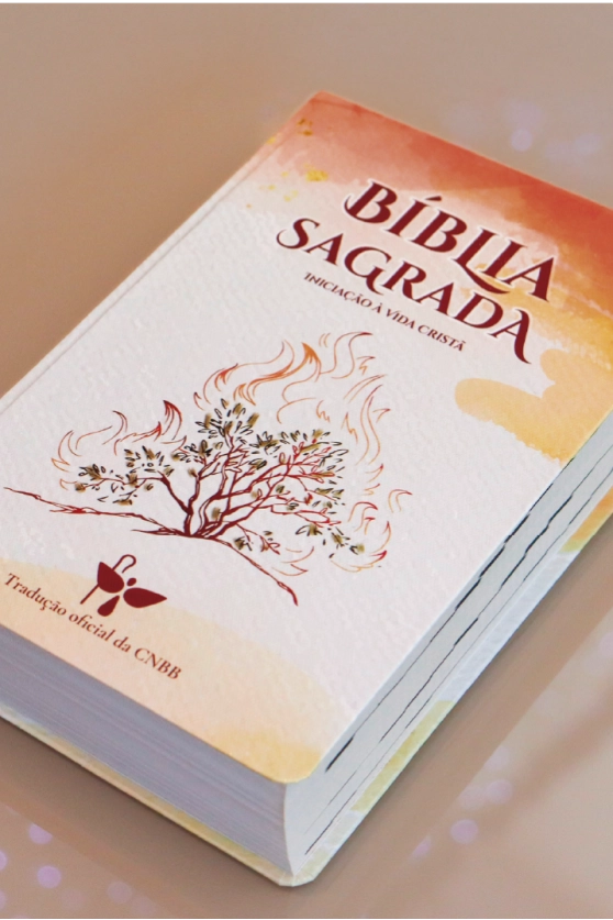 Produto B&iacute;blia Sagrada Inicia&ccedil;&atilde;o &agrave; Vida Crist&atilde; - 6&ordf; Edi&ccedil;&atilde;o - Novo Design