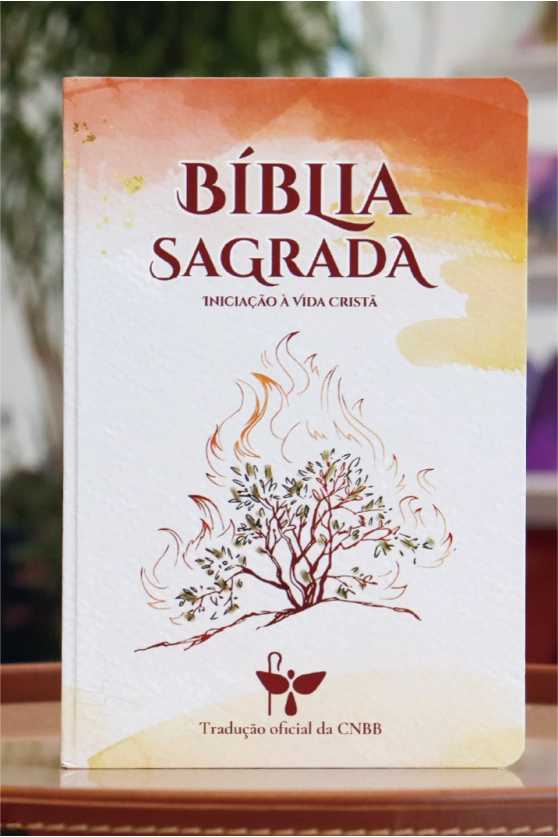 Produto B&iacute;blia Sagrada Inicia&ccedil;&atilde;o &agrave; Vida Crist&atilde; - 6&ordf; Edi&ccedil;&atilde;o - Novo Design