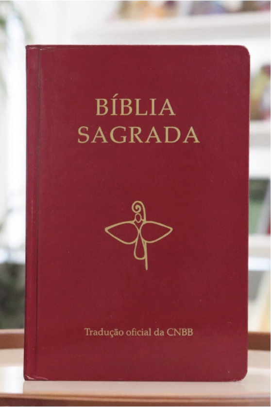 Produto B&iacute;blia Sagrada Tradu&ccedil;&atilde;o Oficial - 6&ordf; Edi&ccedil;&atilde;o