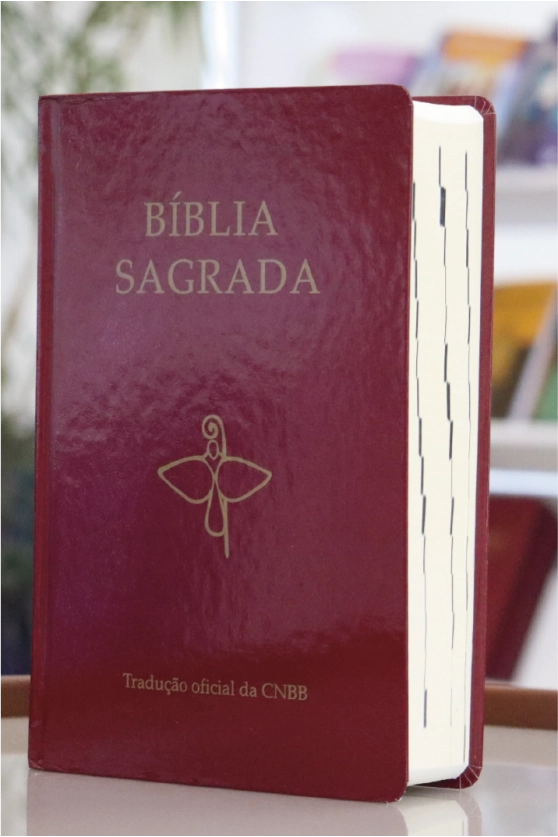 Produto B&iacute;blia Sagrada Tradu&ccedil;&atilde;o Oficial - 6&ordf; Edi&ccedil;&atilde;o