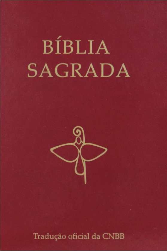 Produto B&iacute;blia Sagrada Tradu&ccedil;&atilde;o Oficial - 6&ordf; Edi&ccedil;&atilde;o