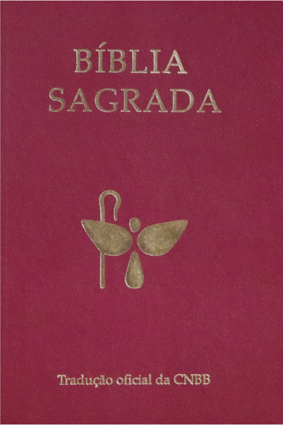 Produto B&iacute;blia Sagrada - Tradu&ccedil;&atilde;o Oficial da CNBB - 6&ordf; Edi&ccedil;&atilde;o - Semiluxo