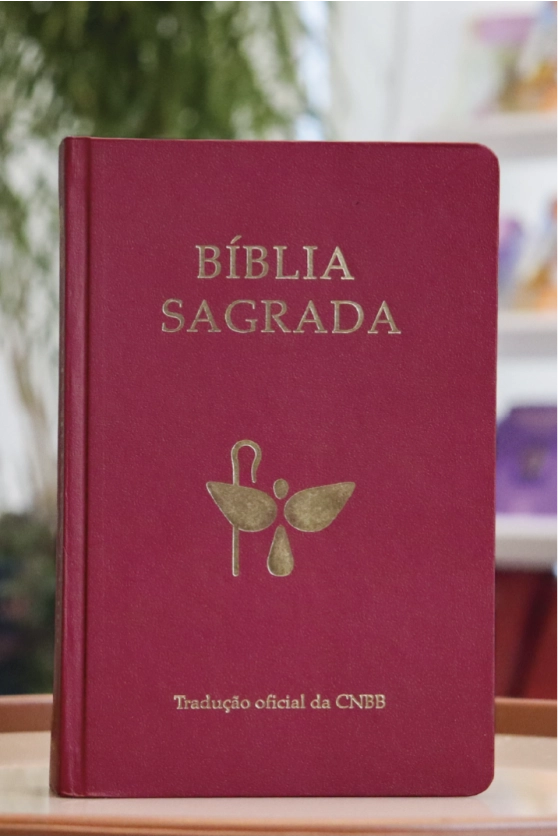 Produto B&iacute;blia Sagrada - Tradu&ccedil;&atilde;o Oficial da CNBB - 6&ordf; Edi&ccedil;&atilde;o - Semiluxo