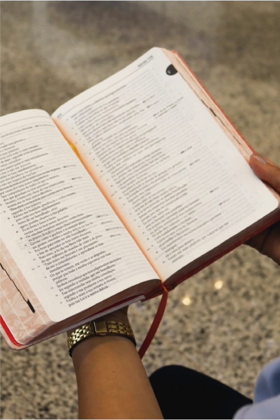 Produto B&iacute;blia Sagrada Tradu&ccedil;&atilde;o Oficial da CNBB - Capa Salm&atilde;o - Feminina - 6&ordf; Edi&ccedil;&atilde;o