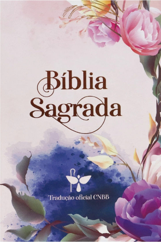 Produto B&iacute;blia Sagrada Tradu&ccedil;&atilde;o Oficial da CNBB - Letra grande - 6&ordf; Edi&ccedil;&atilde;o
