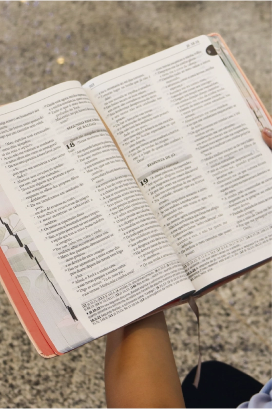 Produto B&iacute;blia Sagrada Tradu&ccedil;&atilde;o Oficial da CNBB - Letra grande - 6&ordf; Edi&ccedil;&atilde;o