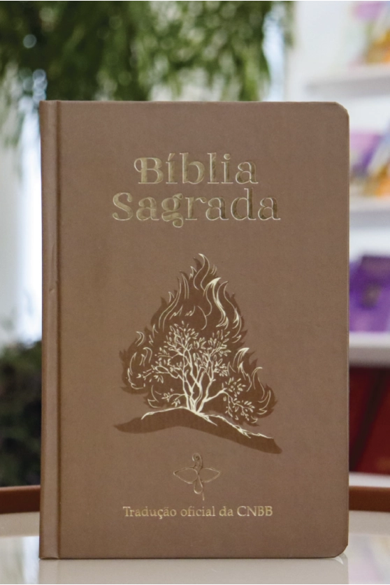 Produto B&iacute;blia Sagrada Tradu&ccedil;&atilde;o Oficial da CNBB - Sar&ccedil;a-Ardente - 6&ordf; Edi&ccedil;&atilde;o