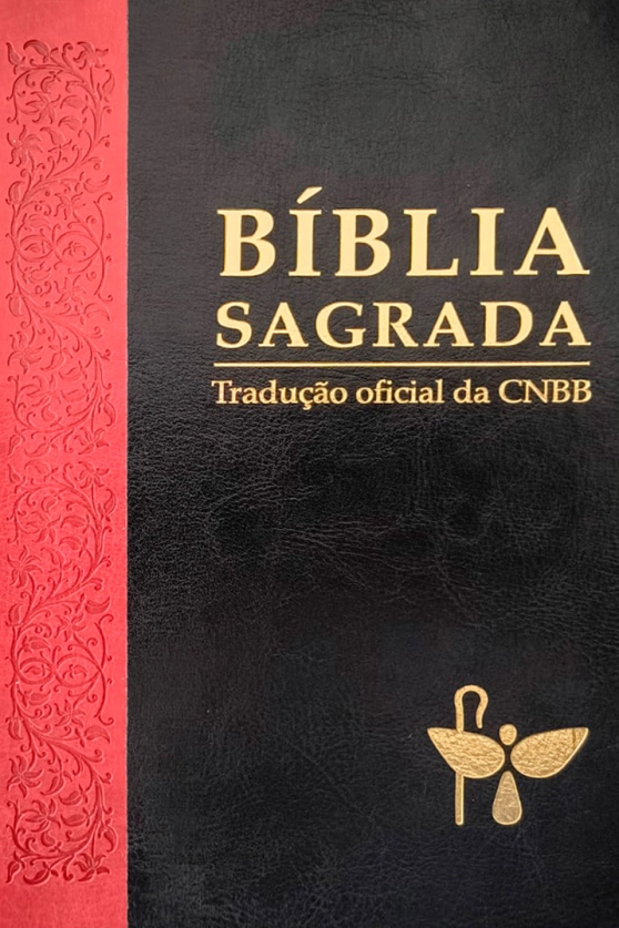 Produto BIBLIA SAGRADA TRADU&Ccedil;&Atilde;O OFICIAL - DUOTONE &ndash; LUXO