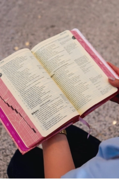 Bíblia Sagrada - Capa Feminina - Lírio - 6ª Edição Produto Bíblia Sagrada - Capa Feminina - Lírio - 6ª Edição