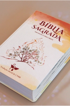 Produto B&iacute;blia Sagrada Inicia&ccedil;&atilde;o &agrave; Vida Crist&atilde; - 6&ordf; Edi&ccedil;&atilde;o - Novo Design