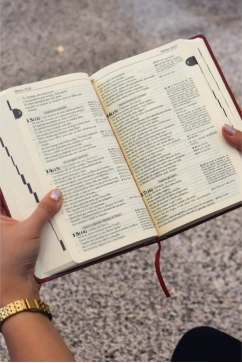 Produto B&iacute;blia Sagrada Tradu&ccedil;&atilde;o Oficial - 6&ordf; Edi&ccedil;&atilde;o