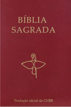 Produto B&iacute;blia Sagrada Tradu&ccedil;&atilde;o Oficial - 6&ordf; Edi&ccedil;&atilde;o