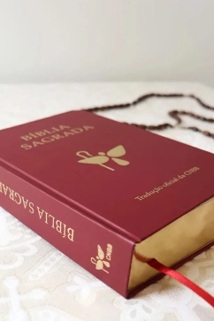 Produto B&iacute;blia Sagrada - Tradu&ccedil;&atilde;o Oficial da CNBB - 6&ordf; Edi&ccedil;&atilde;o - Semiluxo