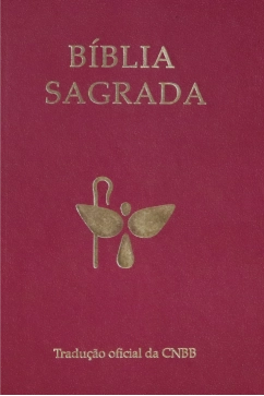 Produto B&iacute;blia Sagrada - Tradu&ccedil;&atilde;o Oficial da CNBB - 6&ordf; Edi&ccedil;&atilde;o - Semiluxo