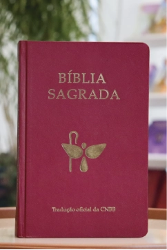 Produto B&iacute;blia Sagrada - Tradu&ccedil;&atilde;o Oficial da CNBB - 6&ordf; Edi&ccedil;&atilde;o - Semiluxo