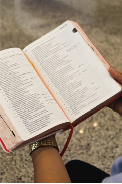 Produto B&iacute;blia Sagrada Tradu&ccedil;&atilde;o Oficial da CNBB - Capa Salm&atilde;o - Feminina - 6&ordf; Edi&ccedil;&atilde;o