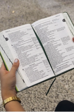 Produto B&iacute;blia Sagrada Tradu&ccedil;&atilde;o Oficial da CNBB - Oliveira - 6&ordf; Edi&ccedil;&atilde;o