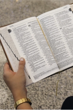 Produto B&iacute;blia Sagrada Tradu&ccedil;&atilde;o Oficial da CNBB - Sar&ccedil;a-Ardente - 6&ordf; Edi&ccedil;&atilde;o