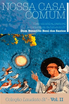 Produto - Nossa Casa Comum: Vis&atilde;o Sint&eacute;tica, Pastoral e comentada da Laudato Si - Cole&ccedil;&atilde;o Laudato Si Vol. 02